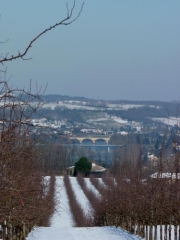 SAINT-ANDRE-ET-APPELLES (2)-gironde