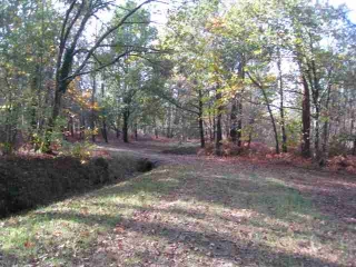 SAINTE-HELENE-gironde