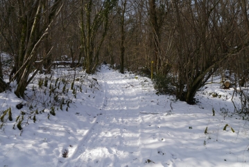 CROIGNON - CURSAN-gironde