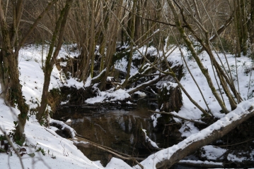 CROIGNON - CURSAN-gironde