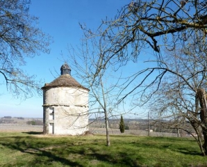 CIRCUIT DES MOULINS-gironde