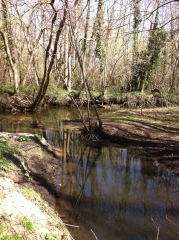 BORDS DE LA JALLE-gironde