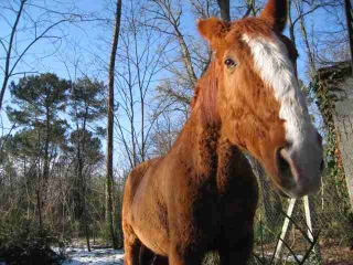 TAILLAN-MEDOC-gironde