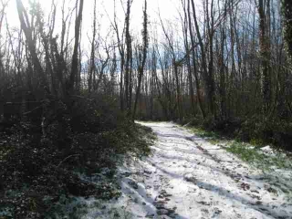 TAILLAN-MEDOC-gironde