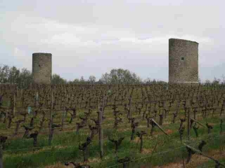 FRONSAC (2)-gironde