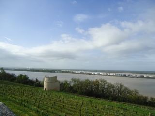 CONLUENT DORDOGNE ET GARONNE-gironde