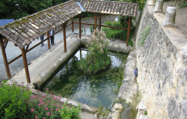 AUTOUR DE PAILLET-gironde