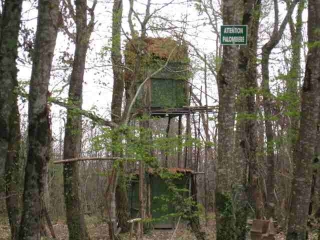 ABBAYE DE LA SAUVE-gironde