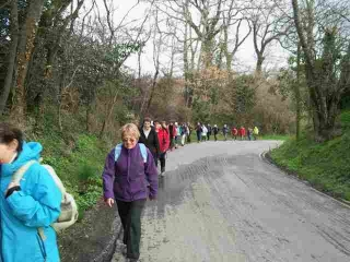 MONTUSSAN (2)-gironde