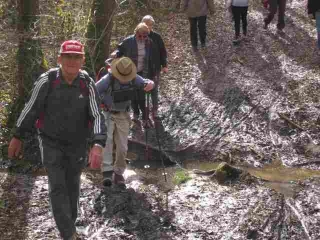 ETANG DES AIRIALS-gironde
