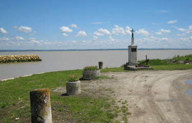 Vignes du Medoc-gironde