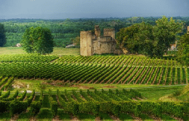 BUDOS - PUJOL-SUR-CIRON-gironde