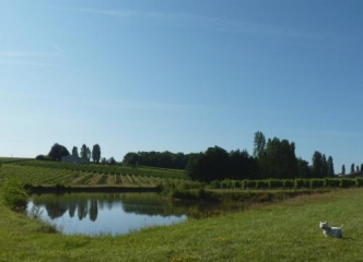 LES LEVES-ET-THOUMEYRAGUES-gironde