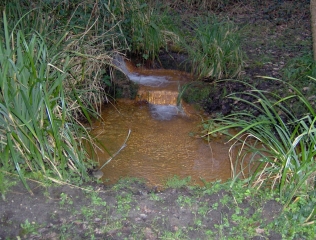 GAZINET - CESTAS-gironde