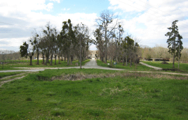 St sulpice et Cameyrac-gironde