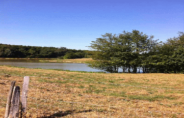 BOUCLE DES CELTES-gironde