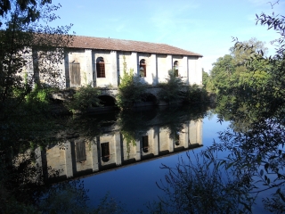 SAINT SEURIN SUR L ISLE-gironde