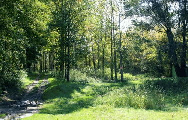 BOUCLE DE SAINTE CROIX DU MONT-gironde
