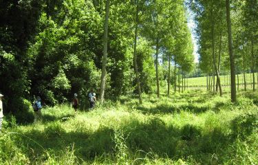 Tizac de Curton-gironde