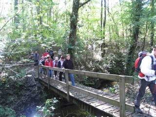 CESTAS-GAZINET - LA FORET-gironde