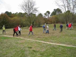 CESTAS-GAZINET - LA FORET-gironde
