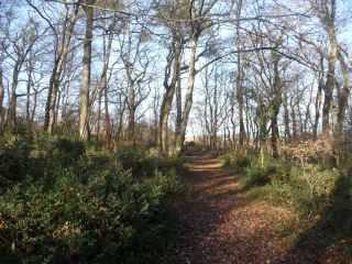 LANGOIRAN (2)-gironde