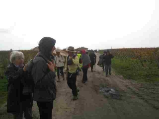 SALAUNES (3)-gironde