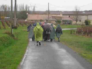 SALAUNES (3)-gironde