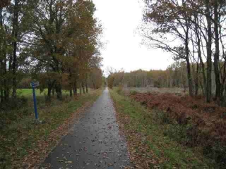 CASTELNAU-DE-MEDOC (2)-gironde