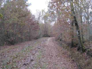CASTELNAU-DE-MEDOC (2)-gironde