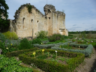 FRONTENAC (2)-gironde