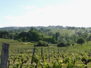 SAINT-PIERRE-D AURILLAC-gironde