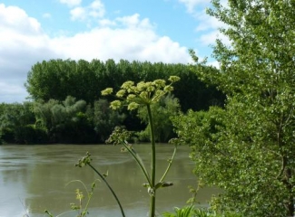 SAINT-PIERRE-D AURILLAC-gironde