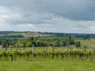 SAINTE-FOY-LA-LONGUE-gironde