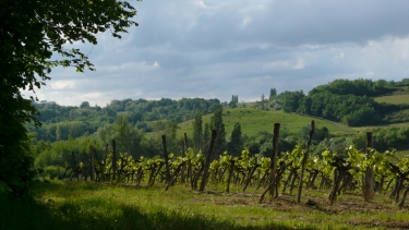 TIZAC-DE-CURTON (2)-gironde