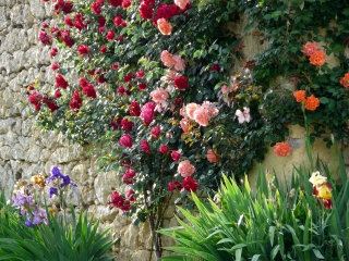 TIZAC-DE-CURTON (2)-gironde