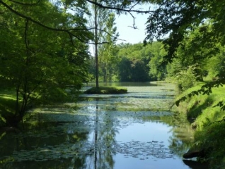 CASTELMORON  D ALBRET-gironde