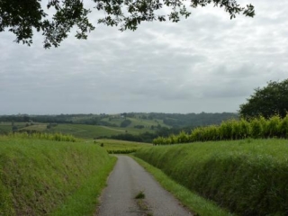 SAINTE-CROIX-DU-MONT-gironde