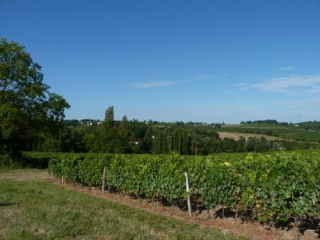 SAINT-ANDRE-ET-APPELLES(2)-gironde