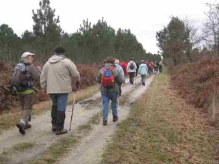 ST-MEDAR-EN-JALLES (5)-gironde