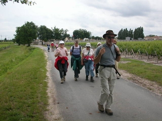 LE TAILLAN-MEDOC - ST-AUBIN-DE-MEDOC-gironde