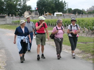 LE TAILLAN-MEDOC - ST-AUBIN-DE-MEDOC-gironde