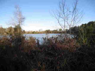 ARSAC - LES VIGNES-gironde