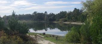 PARC DU BOURGAILH ET BASSIN DE CAP DE BOS-gironde