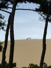 DUNE DU PYLA (2)-gironde
