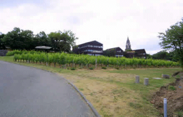 Circuit autour de Bouliac-gironde