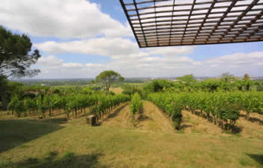 Circuit autour de Bouliac-gironde