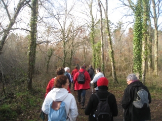 TAILLAN-MEDOC - AUTOUR DE ST-AUBIN-gironde