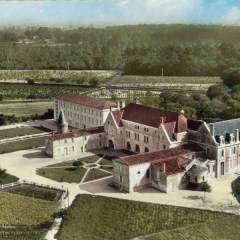 NECTAR DES DIEUX-gironde