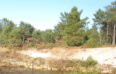 Saint Jean d Illac-gironde